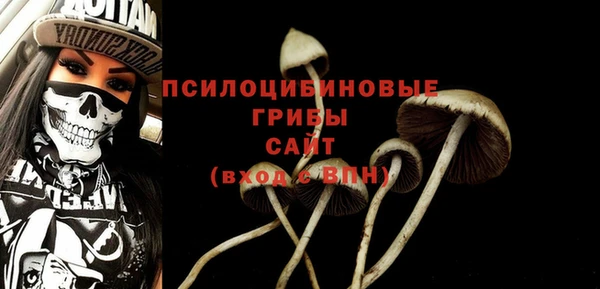 прущая мука Елизово